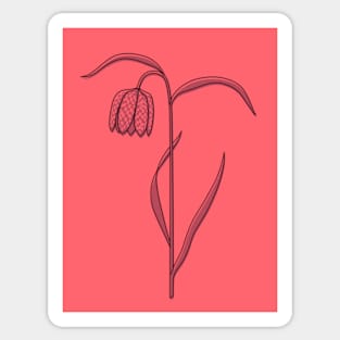 Snake's Head Fritillary pink Sticker